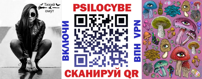 Купить  Зубцов  Галлюциногенные грибы Psilocybe 